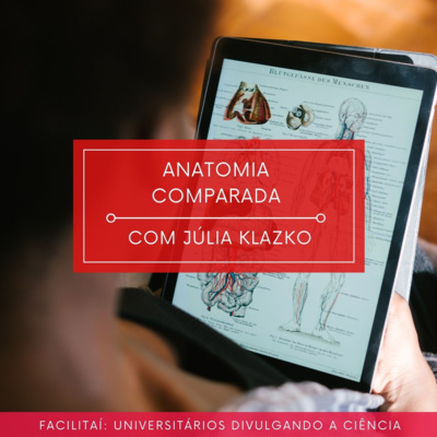 Anatomia Comparada com Júlia Klazko