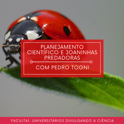 Planejamento científico e Joaninhas predadoras