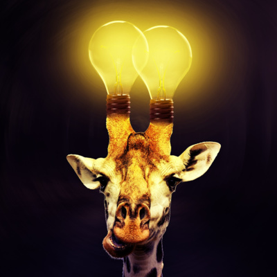 EP206 Rock Sugar Column - Want to know follow your instinct or develop the ability?  episode artwork