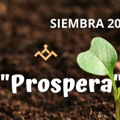 Predicaciones, Mensajes de Ánimo y de Reflexión