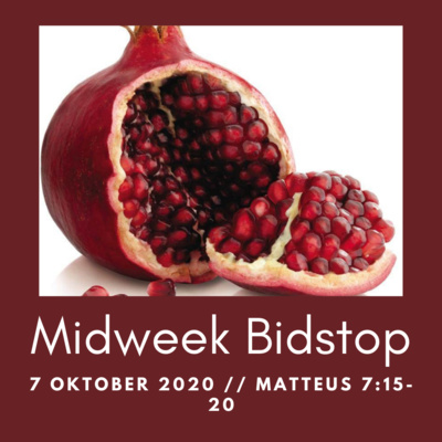 MIDWEEK BIDSTOP #27, 7 OKTOBER 2020