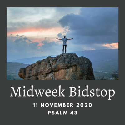 MIDWEEK BIDSTOP #31 - PSALM 43 (11 NOVEMBER 2020)