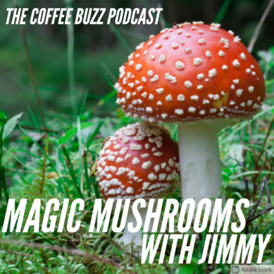 Magic Mushrooms with Jimmy