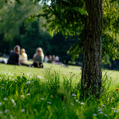 Introducing Conversations In The Park