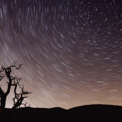 4. Conversations about Snakes, Indigenous Wisdom and The Circle of Life