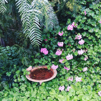 Bonus: Devotional Spaces
