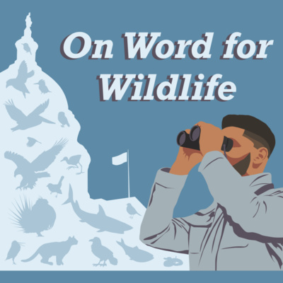 On Word for Wildlife | A Space Race, On Earth