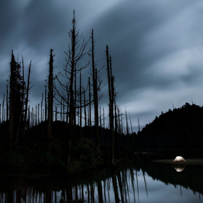 Hrdina na počkanie a Shuiyang Forest