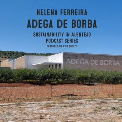 Ep. 4 – Adega De Borba, Sustainability in Alentejo equals Survivability of Communities, Helena Ferreira