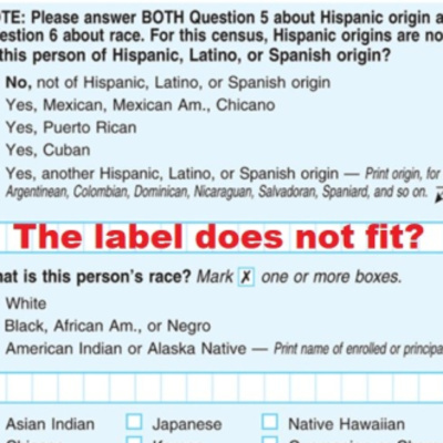 When Hispanic Labels Don’t fit 