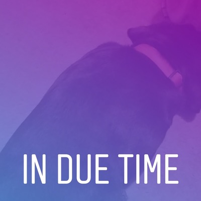 In Due Time (Timing)
