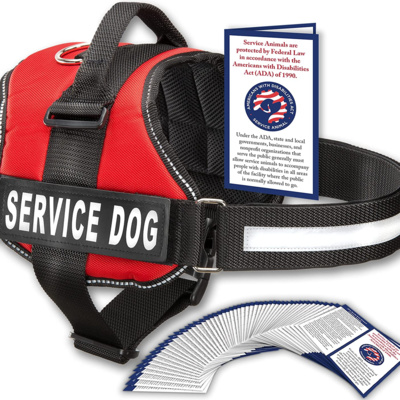 HalfShot: Service Animals