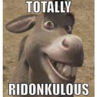 S3:E17 Totally Ridonkulous!