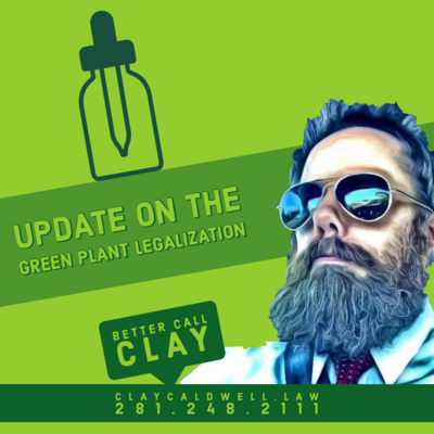 Update On the Green Plant  Legalization