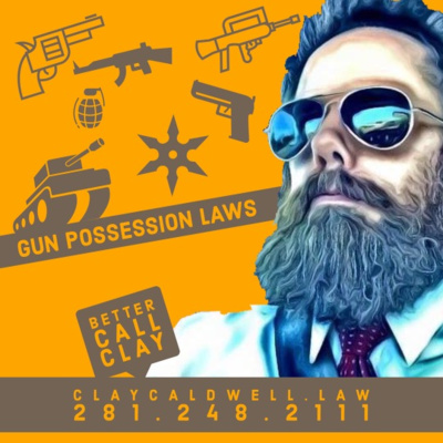 Gun Possession Laws