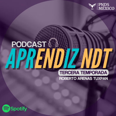APRENDIZ NDT