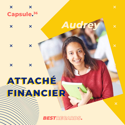 #36 - Attaché Financier (Fédasil) by Audrey