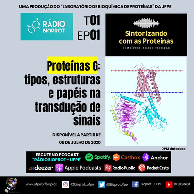SINTONIZANDO COM AS PROTEÍNAS - Proteínas G: tipos, estruturas e papéis na transdução de sinais
