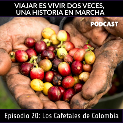 TP4. Episodio 20: LOS CAFETALES DE COLOMBIA