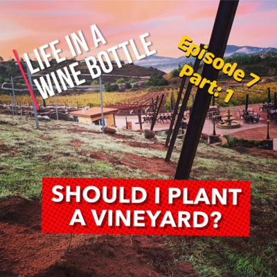 Life In A Wine Bottle Ep:7 - Should I plant a vineyard pt:1 - Special Guest Ron Putman