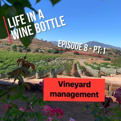 Life In A Wine Bottle - Vineyard Management EP:8/Pt:1 - Special Guest David Drucker