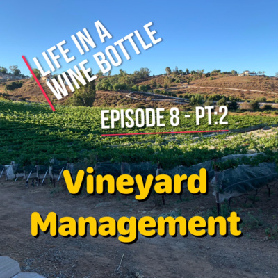 Life In A Wine Bottle - Vineyard Management Ep:8/pt:2- Special Guest David Drucker