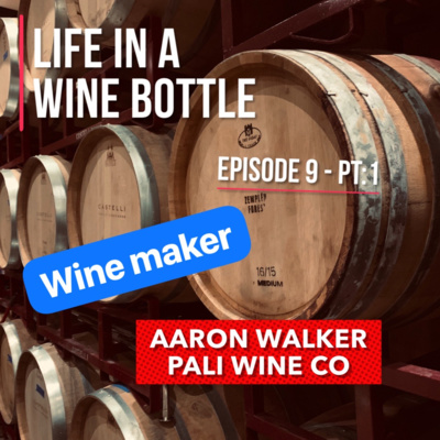 Wine Maker Ep:9/pt 1 - Life In A Wine Bottle - Special Guest Aaron Walker w/ Pali Wine Co