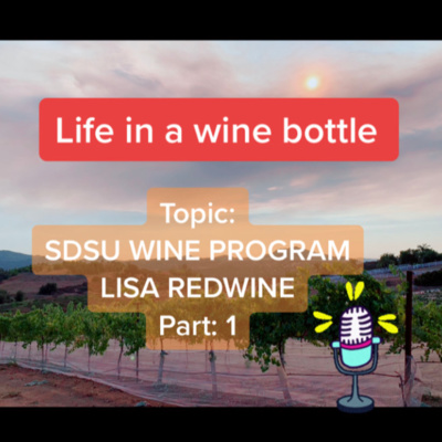 SDSU Wine Program Ep:10/pt 1 - Life In A Wine Bottle - Special Guest Lisa RedWine w/ SDSU Wine Program