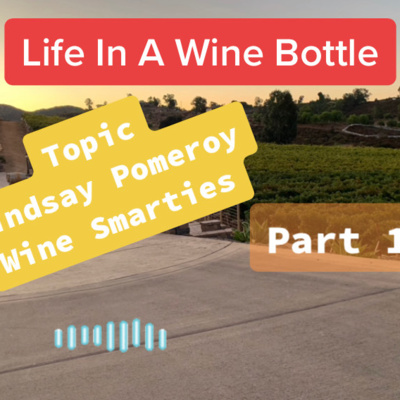 Ep:12/pt 1 - Life In A Wine Bottle - Special Guest Lindsay Pomeroy w/ Wine Smarties