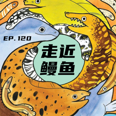 EP120 走近鳗鱼：水底的死宅生活大揭秘！ episode artwork