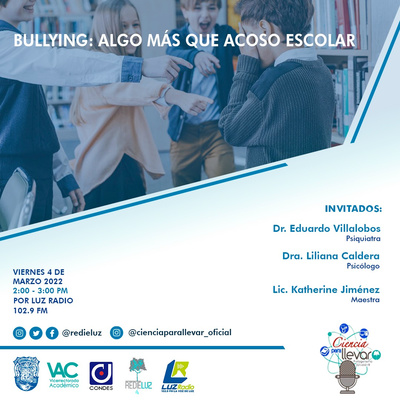 Bullying: Algo más que Acoso Escolar