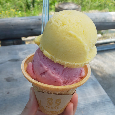 68 / "甘いとうもろこし"そのままを再現されたシャーベット@栗原