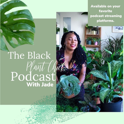 Episode 9: See Something Do Something