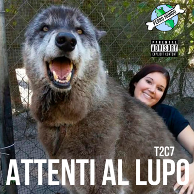 Perro Mundo