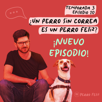Perro Feliz