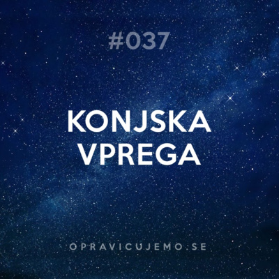 37: Konjska vprega