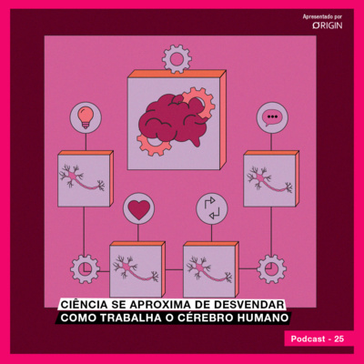 Ciência se aproxima de desvendar como trabalha o cérebro humano 