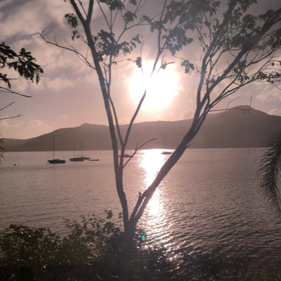 Ah, quanto aprendizado vem da contemplação da Natureza!!!!