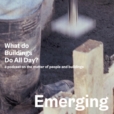 19. EMERGING POSITIONS | Noreile Breen | Tom O Brien | Jennifer O Donnell | Andrew O Murchu