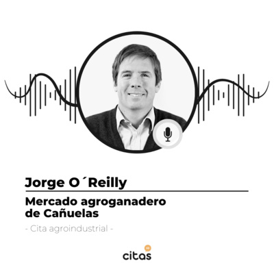#466 Cita Agroindustrial - Jorge O'reilly: El Mercado de Cañuelas es una mejora sustancial para el funcionamiento del Mercado de Liniers episode artwork