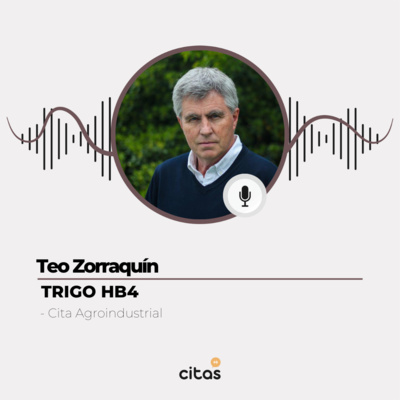 #489 Cita Agroindustrial - Teo Zorraquín: El trigo HB4 y sus implicancias comerciales episode artwork