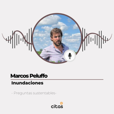 #514 Preguntas Sustentables: Marcos Peluffo: Inundaciones. Acueducto 9 de Julio - Pehuajó episode artwork
