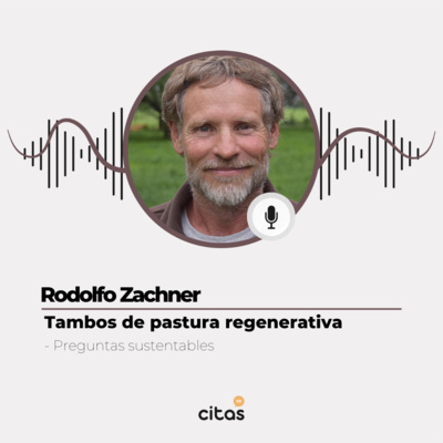 #531 Preguntas Sustentables - Rodolfo Zegner: La decisión de producir leche en un tambo holístico episode artwork