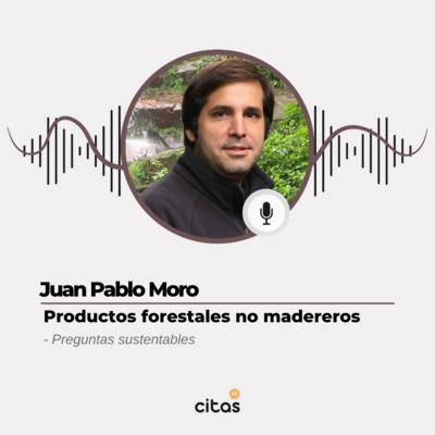 #556 Cita Agroindustrial - Juan Pablo Moro: El universo de productos forestales no madereros episode artwork