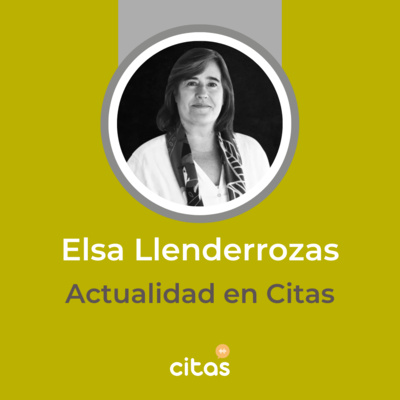 #633 Actualidad en Citas - Elsa Llenderozas: Las PASO son ordenadoras de la oferta electoral episode artwork