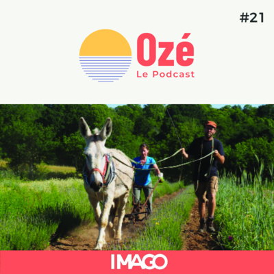Épisode 21 - Vincent et le retour à la terre