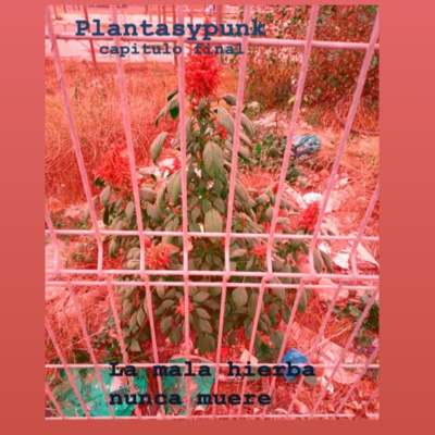 Plantasypunk