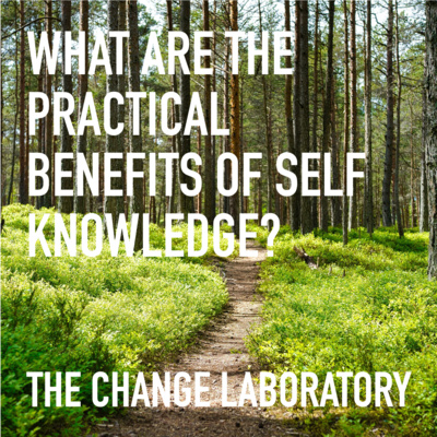 What Are The Practical Benefits Of Self Knowledge? What Are The Practical Benefits Of Self Knowledge?