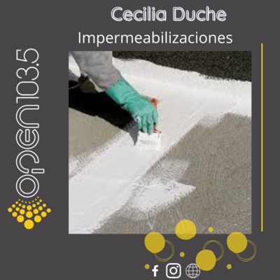 #TemasDeCafé - Cecilia Duché: Impermeabilizaciones episode artwork
