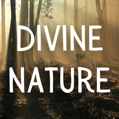 Divine Nature